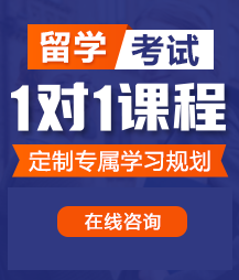 舔管口交啪啪啪留学考试一对一精品课